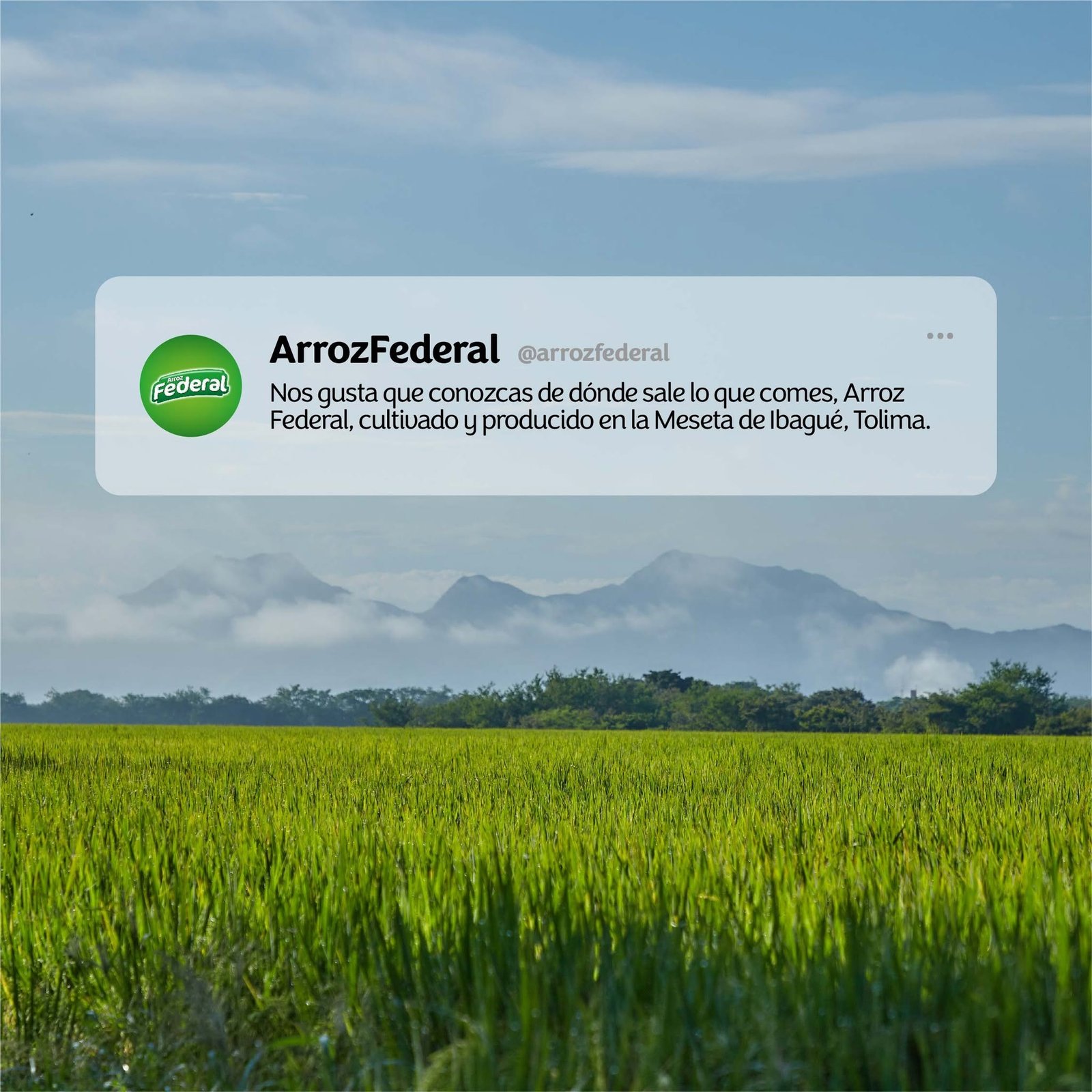 Un plato, una historia: la realización del comercial Arroz Federal